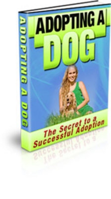 Product picture Best Book for Adopting a Dog